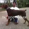 Adriel Camacho - @adriel.camacho61 - TikTok