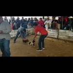 Adriel Carrillo - @adriel3497 - Instagram