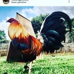 Adriel Carrillo - @adriel.carrillo.94402 - Instagram