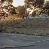 Adriel Castillo - @adriel.castillo5 - TikTok