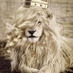 Kevin Adriel Corral Castro - @kevincorralcastro - Instagram