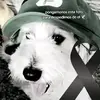 adriel duran - @adriel.duran0 - TikTok