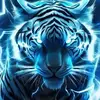 Adriel Duran - @adriel.duran2 - TikTok