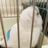 Adriel Duran - @adriel.duran3 - TikTok