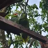 Adriel Guzman - @adriel.guzman62 - TikTok