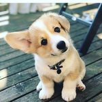 adriel johnson - @adriel_j_97 - Instagram