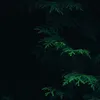 Adriel_Keith_Aguinal - @Adriel_Keith_Agui - TikTok