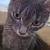 adriellee - @adrielle5790 - TikTok