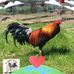 Adriel Miller - Facebook