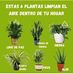 Adriel Miller - Facebook
