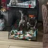 Adriel Miranda - @adriel.miranda62 - TikTok