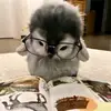 Adriel Muniz - @adriel.muniz07 - TikTok