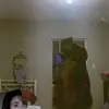 Luis@_😈 - @adriel.ochoa06 - TikTok