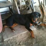 Luis Adriel Osorio Geraldo - @luis_turito - Instagram