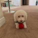 Adriel Reyes Delgado - @adrielrdelgado - Instagram