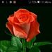 Adriel Serrano - Facebook