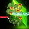 Adriels - @adrielssims - TikTok