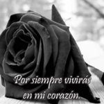 Adriel Tapia - @adriel.tapia.3 - Instagram