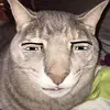 adriel - @adrielvelasques - TikTok