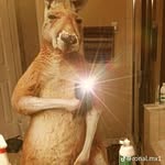 Adriel Vélez - @adrielvelez3 - Instagram