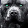 adrielvelez122 - @adriel23.2 - TikTok