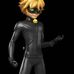Adrien Agreste - Facebook