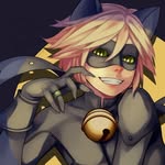 Adrien Agreste/Cat Noir - @adrienagrestecatn - Instagram