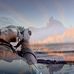 Adrien Allard Photographie - Facebook