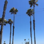 Adrien Anderson - @iamadrienanderson - Instagram