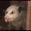 Adrien._.Anderson - @adrien._.anderson - TikTok