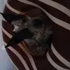Adrien Anderson - @adrien.anderson70 - TikTok