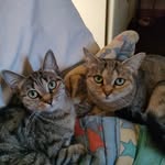 Adrien Antoine - @zz59000 - Instagram