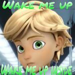 Adrien Arnold Agreste - @adrienthoughts - Instagram