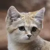 adrienbarras - @adrienbarras - TikTok