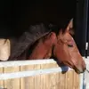 adrienbouteau - @adrienbouteau - TikTok