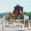 Adrien Berger - @adrienberger13 - TikTok