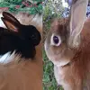 Adrienne - @adrienne.blue5 - TikTok