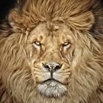 Adrien Charles - @adriencharles33300 - Instagram