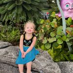 Adrienne Grace Co - @adriennegrace_co - Instagram