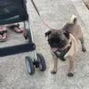 Adrien James - @adrien.james - TikTok