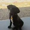james adrien - @james.adrien5 - TikTok