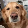 Adrien Lee - @adrienlee0 - TikTok