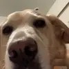 Adrienlee - @adrienlee - TikTok