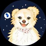 Adrien Smith - @mr.smith_bleh - Instagram