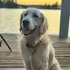 adrienne_wright - @adrienne_wright - TikTok