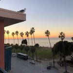 Adrienne Abbott - @adriennedigsdrills - Instagram
