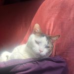 Adrienne Abbott - @adriennerenee367 - Instagram