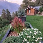 Amacker Adrienne - @amackeradrienne - Instagram
