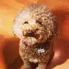 Adrienne Alterman - @adrienne.alterman - TikTok