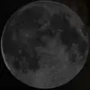 Adrienne?B - @adrienneb.alt23 - TikTok